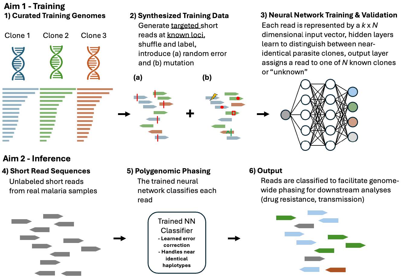 Solving the Phasing Problem of Infection Complexity in Polygenomic Malaria with Machine Learning